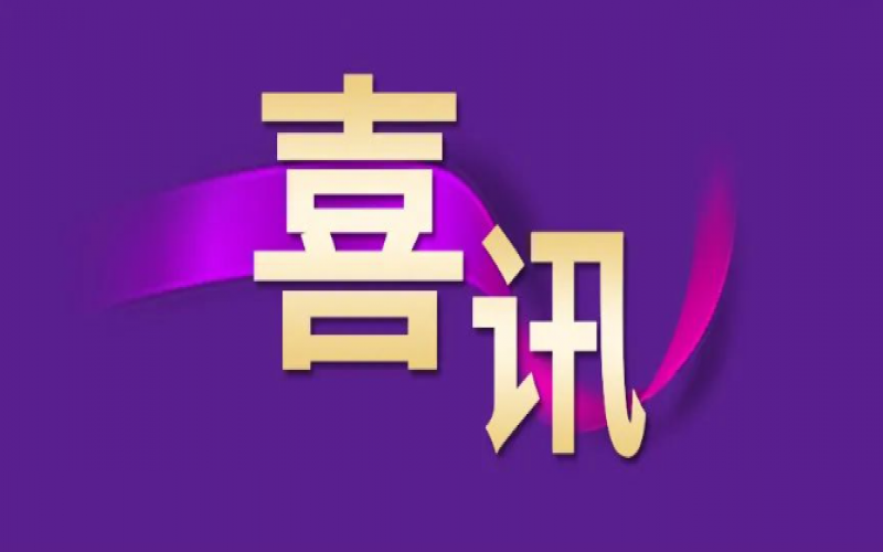 劲升16位！QY千亿集团跃居中国企业500强第240位