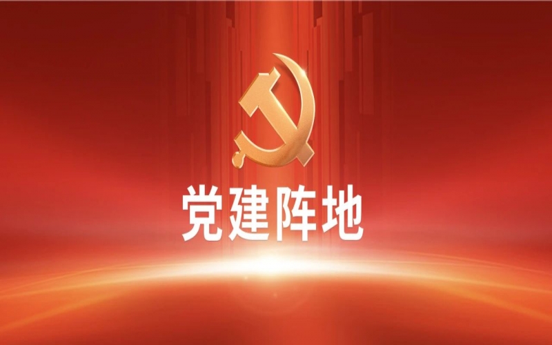 党建阵地 - 融诚物产金属公司开展主题党日活动